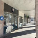 올리스 펫 쌀롱 이미지