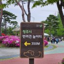 문암생태공원(반려견놀이터) 이미지