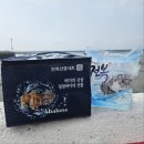 야들야들 여수 돌문어 &amp;싱싱한 활전복&amp;자숙 알꼬막!!!!! 이미지