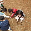 본아미강남어린이집 이미지