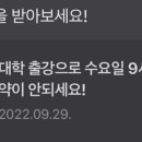 다인에스테틱 네이버블로그