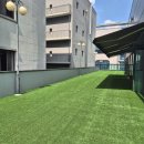 푸젤 강아지유치원 이미지