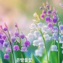 빛나는오늘 이미지