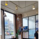 데일리 동물의료센터 이미지