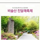 ♣♣제208회차 대구 비슬산 진달래꽃 산행♣♣ (예약마감) 이미지