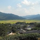 하동산수애 네이버블로그