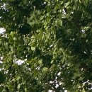 샘머리1단지 이미지