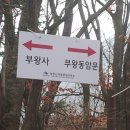 부광사 이미지