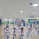 수림효태권도장 네이버블로그