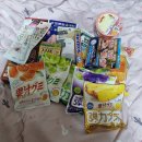 선아전자 | 2월 호다닥 달려오기