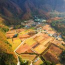 울릉도 알프스 이미지