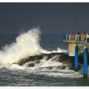 주전마을 이미지