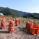 농사꾼농장 이미지