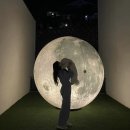 슈슈펜션 이미지