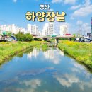 하양꿈바우시장 | 하양시장장날 꿈바우시장