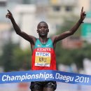 (주)푸른환경 | [건강정보] 2026 MBN 블루레이스 거제 마라톤 : 푸른 바다 위를 달리는 특별한 경험