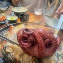 해:담음 해물칼국수 이미지