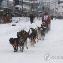 Dog&dog 연합뉴스