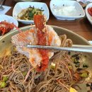 한솥일산대화역킨텍스 | [메밀곳간] 일산 킨텍스 막국수 대화역맛집 내돈내산 후기