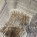 안성푸드덕 이미지