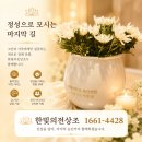 자연의전상조 | 대구후불제상조 후기｜아버님의 마지막 길, 가족장이 더 따뜻했던 이유, 한빛의전상조