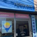 할타보카 | 경주 <할타보카> 젤라또 맛집 내돈내산 후기 (+ 메뉴 추천)