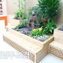 싱그런정원약국 이미지