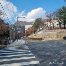 TEMPLE GYM (템플짐) | 하루기록 : 25年 11月 _ 금선사 체험형 템플스테이 / 1박 2일간 불교로 마음 가라앉히기