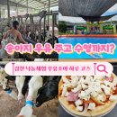 조아농장 | 가볼 만한 곳 김천 우유조아 | 대구 근교 아이와 가볼...수영장 물놀이까지 하루 종일 즐기는 체험농장
