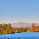 세진농장 이미지