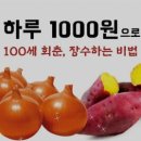 하루 1,000원으로 100세 회춘, 장수하는 비법 이미지