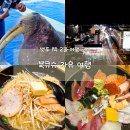 28140-8-1-17 | [일본/벳푸] 북큐슈 자유 여행 - 벳푸 오이타 1박 2일 여행 코스 추천 일정 경비 맛집 숙소 총정리