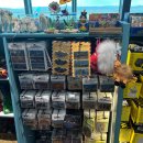 거북면세점 이미지