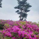 名山探訪 왕방산 철쭉동산 이미지