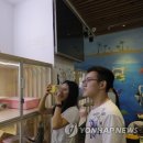 CATS TIME CAFE 이미지