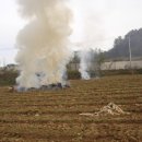 석보면사무소 이미지