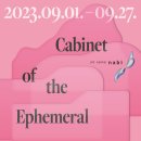 아트센터 나비 미술관 이미지