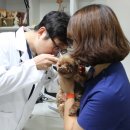 백산동물병원 이미지