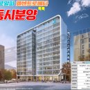 오피스알파 네이버블로그