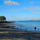 지노포트 이미지