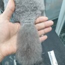 그 남자의 grooming # 공간 이미지