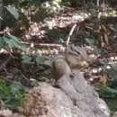 작은미술마을미술교습소