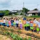 마루유치원 이미지