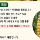애월농부