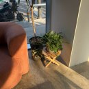 두산로9길 | 금천구 독산 느좋카페 칩스 내돈내산 방문후기