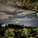 제주 돌담 펜션 이미지