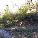 경기목장 이미지