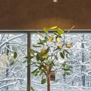 스튜디오 3E 이미지