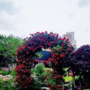 카페507 이미지