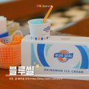 미나토 | 블루씰 아이스크림 오키나와 필수 먹거리 마키미나토 본점 후기